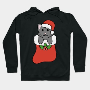 Christmas Black Tabby Stocking Hoodie